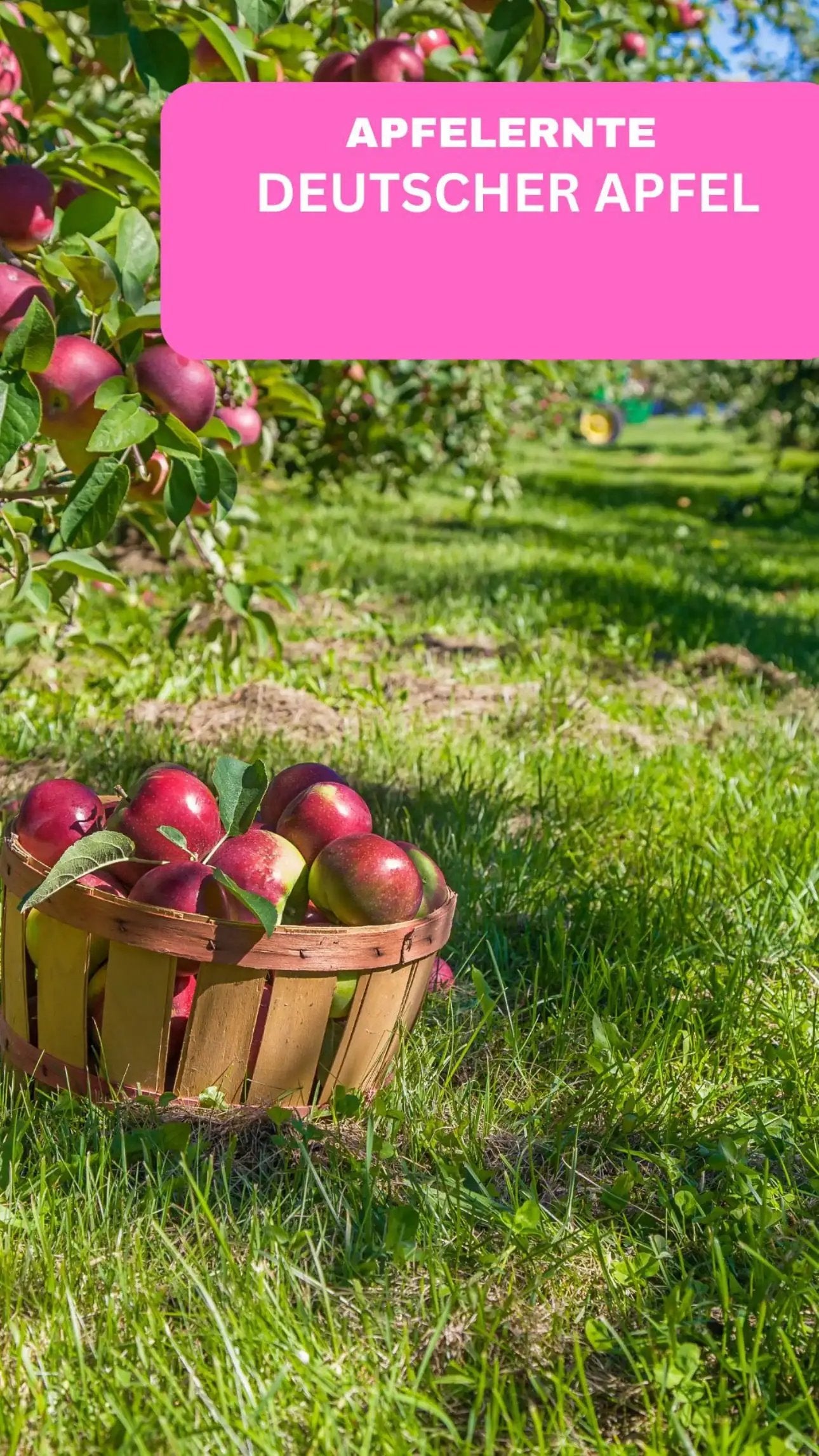 Geilste Kerze - Duftkerze - DEIN TEXT - so individuell wie du! - from DieBallerei